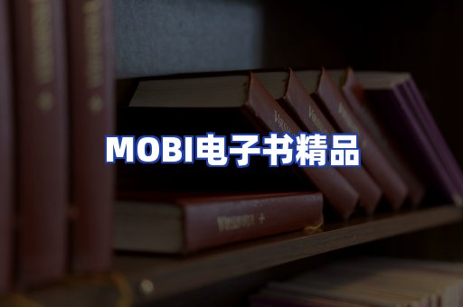 外文电子书产品